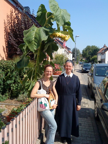 Misioneros en las calles de Ginsheim
