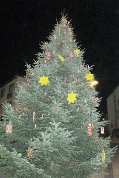 Weihnachtsbaum in Höhr-Grenzhausen mit Sternen, auf denen Namen stehen -Foto: Cássio Leal