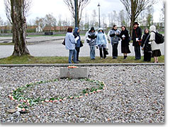 Ein Kranz von Rosen – in Dachau