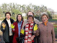 Schönstattbewegung Frauen und Mütter: Farbe gelb