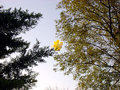 Luftballons tragen eine Krone ins Land