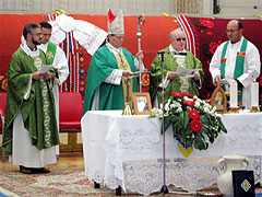 Tag der Pilgernden Gottesmutter in Slavonski Brod: Konzelebration mit Weihbischof Đuro Hranić