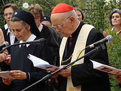 Kardinal Martínez Somalo während der Feier am Cor Ecclesiae-Heiligtum