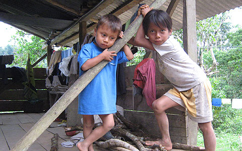 Indio-Kinder im Amazonas-Urwald von Ecuador