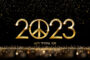 paz 2023