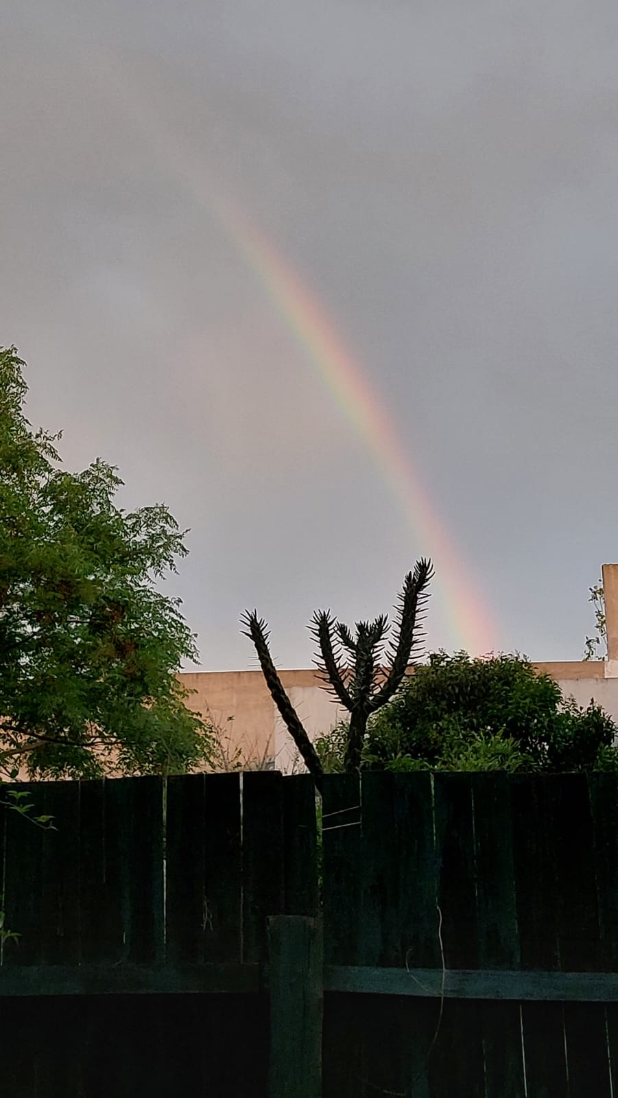 Un arcoiris apareció después de la Misa