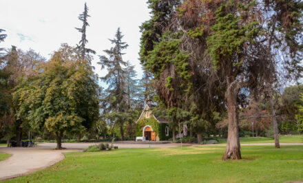 Santuario de Bellavista, Chile