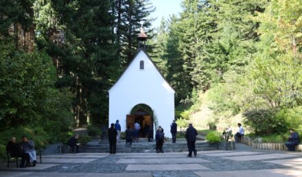 Los sacerdotes diocesanos de Concepción en el santuario de Montahue